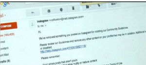 instagram violation letter