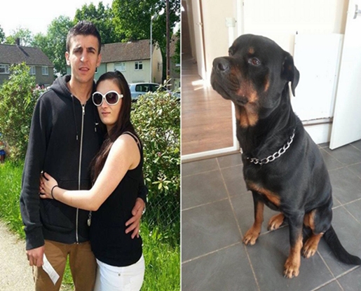 An armed gang invaded a pregnant woman’s house and threatened her at knifepoint – but she was saved when her adopted dog burst through the door and defended her.