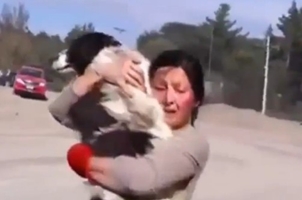 Woman finds her dog after Volcanic eruptions in chile's calbuco