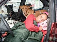 When Hillary Barrows found herself homeless, she applied for emergency housing from the council, only to be told that she could have a house, but would have to part with her pet dogs, Robbie and Cleo, in order to get it.