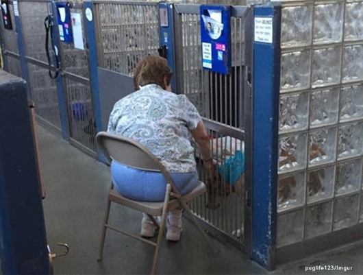 Meet Sandy Barbabella, the woman who soothes shelter dogs by reading to them
